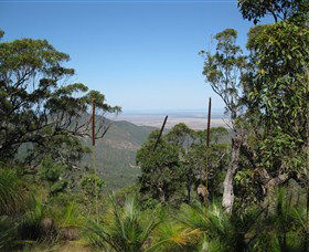 Zamia Walk - Great Ocean Road Tourism 0