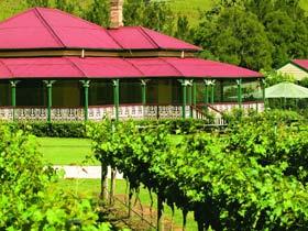 OReillys Canungra Valley Vineyards - Great Ocean Road Tourism 0