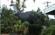 The Big Cassowary - thumb 0