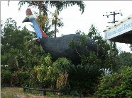 The Big Cassowary - Great Ocean Road Tourism 0
