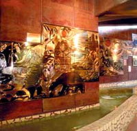 Riversleigh Fossil Centre - Great Ocean Road Tourism