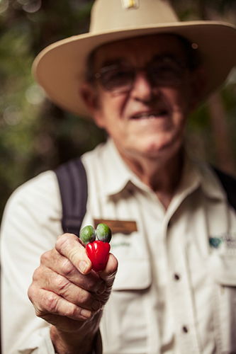 Tondoon Botanic Gardens - Great Ocean Road Tourism 1