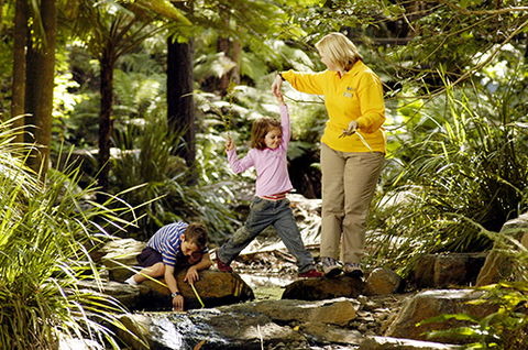 Tondoon Botanic Gardens - Great Ocean Road Tourism 2