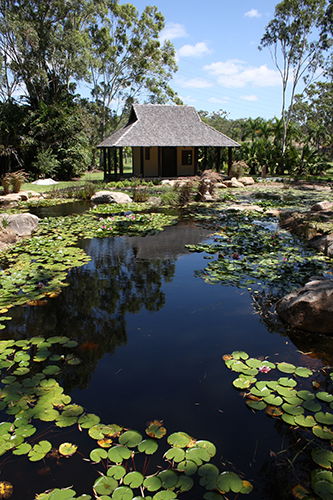 Tondoon Botanic Gardens - Great Ocean Road Tourism 8