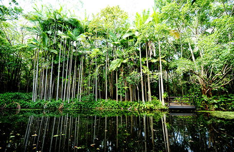 Tondoon Botanic Gardens - Great Ocean Road Tourism 11