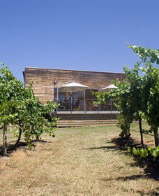 Shantell Vineyard - Great Ocean Road Tourism 0