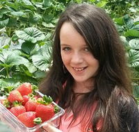 Yarra Valley Gateway Estate - Great Ocean Road Tourism