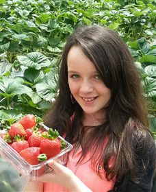 Yarra Valley Gateway Estate - Great Ocean Road Tourism 0