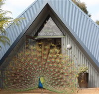 Halls Gap Zoo - Great Ocean Road Tourism