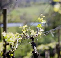 Norton Estate Wines - Great Ocean Road Tourism