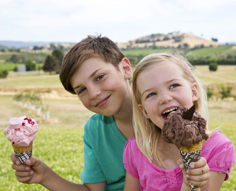 Yarra Valley Chocolaterie & Ice Creamery - Great Ocean Road Tourism 6