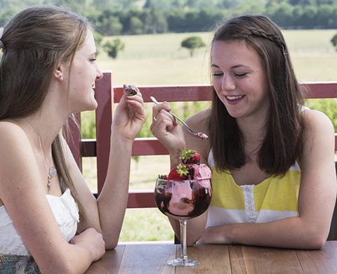 Yarra Valley Chocolaterie & Ice Creamery - Great Ocean Road Tourism 8