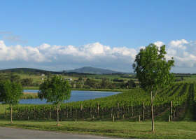 Yarrawood Estate - Great Ocean Road Tourism 0