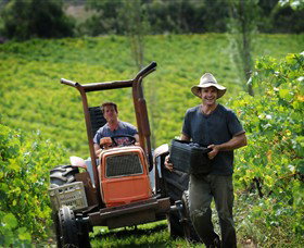 Kellybrook Winery & Kelly Brothers Cider - Great Ocean Road Tourism 0