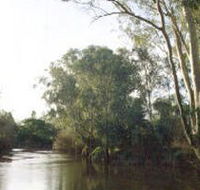 Banksia Park - Great Ocean Road Tourism