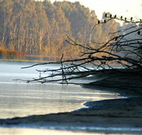 Barmah National Park - Great Ocean Road Tourism