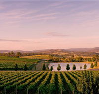 Oakridge Wines - Great Ocean Road Tourism