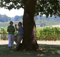 Five Oaks Vineyard - Great Ocean Road Tourism