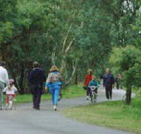Birrarrung Park - Great Ocean Road Tourism