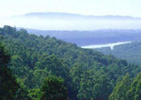 Kalorama VIC Great Ocean Road Tourism