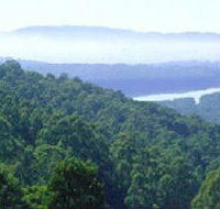 Kalorama Park - Great Ocean Road Tourism