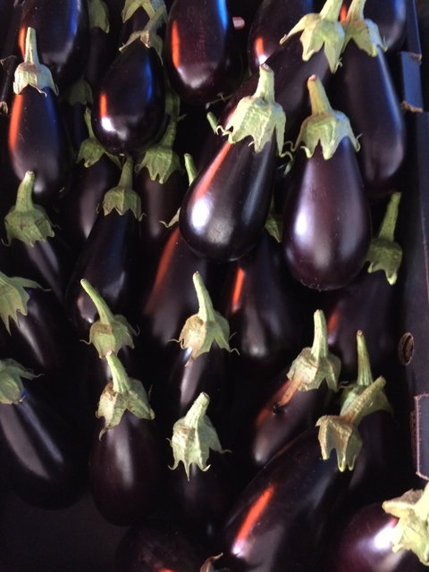 Main Street Market Mornington - Great Ocean Road Tourism 3