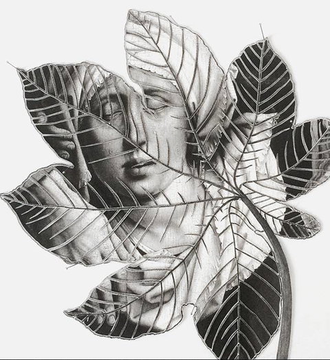 Wollongong Art Gallery - Great Ocean Road Tourism 2