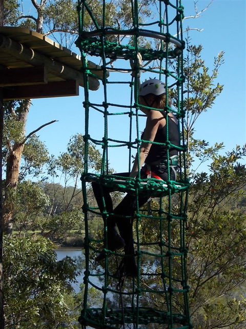Trees Adventure Shoalhaven - Great Ocean Road Tourism 0