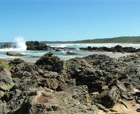 Coastal Walks - Bermagui - Great Ocean Road Tourism 0