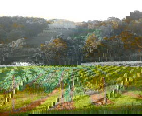 Tilba Valley Wines - Great Ocean Road Tourism 0
