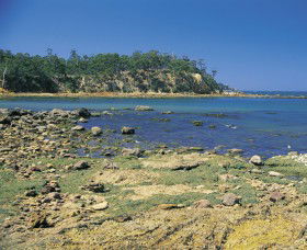 Aslings Beach - Great Ocean Road Tourism 0