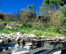 Abrahams Bosom Reserve - Great Ocean Road Tourism 0