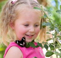 Coffs Harbour Butterfly House - Great Ocean Road Tourism