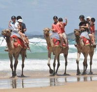 Camel Rides with Coffs Coast Camels - Great Ocean Road Tourism