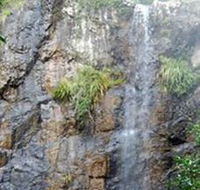 Wedding Bells Forest Drive - Great Ocean Road Tourism