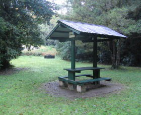 Pine Creek State Forest - Great Ocean Road Tourism 0