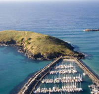 Muttonbird Island Nature Reserve - Great Ocean Road Tourism