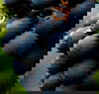 Swinging Bridge Estate - Great Ocean Road Tourism