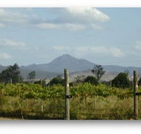 Ironbark Ridge Vineyard - Great Ocean Road Tourism