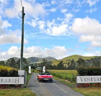 Sarabah Estate Vineyard