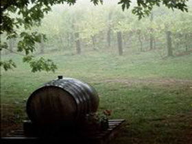 Arranmore Wines - Great Ocean Road Tourism 2