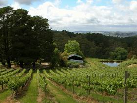 Arranmore Wines - Great Ocean Road Tourism 0
