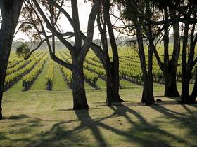 Henry's Drive Vignerons - Great Ocean Road Tourism 0