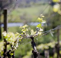 Mount Cole WineWorks - Great Ocean Road Tourism