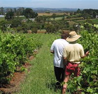 Sir Paz Estate - Great Ocean Road Tourism
