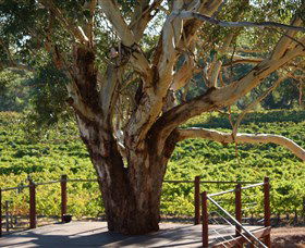 Upper Reach Winery And Cellar Door - Great Ocean Road Tourism 1