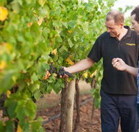 Fratin Brothers Vineyard - Great Ocean Road Tourism