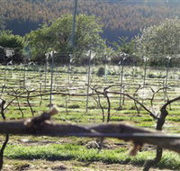 Three Willows Vineyard - Great Ocean Road Tourism