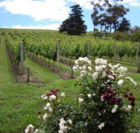 Pembroke Estate Vineyard - Great Ocean Road Tourism