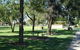 Inglewood Apex-Lions Park - thumb 0